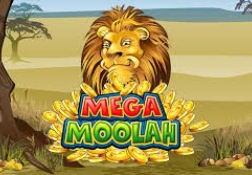 Mega Moolah Preview
