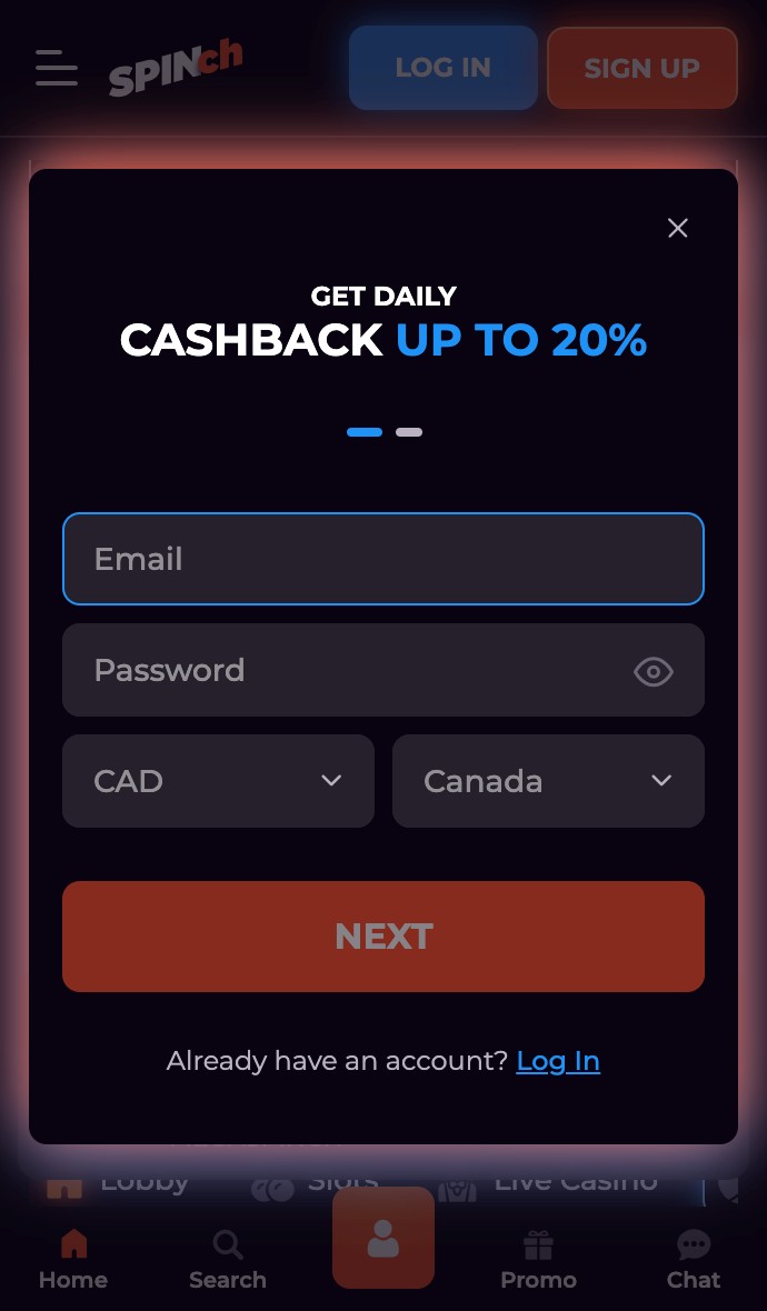 Spinch Overview